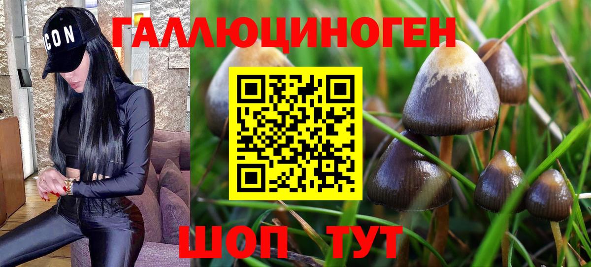 Псилоцибиновые грибы Magic Shrooms Лянтор